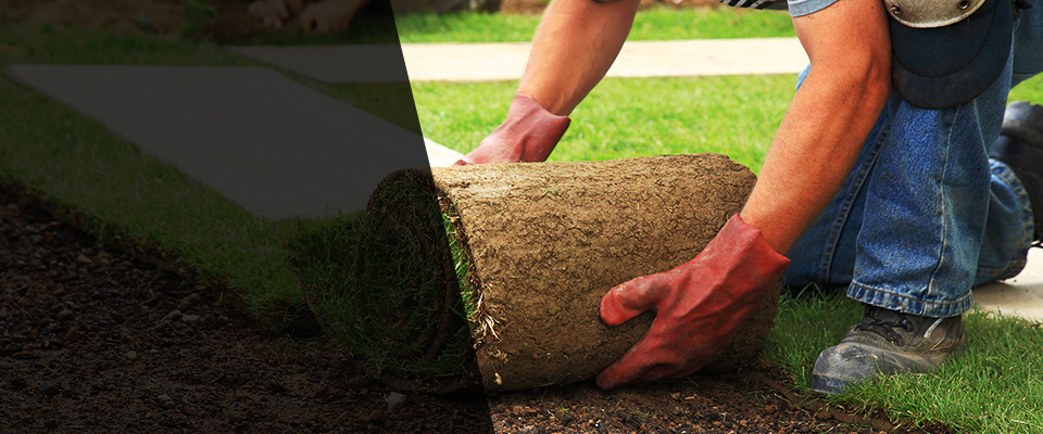 Apple Creek Landscapers